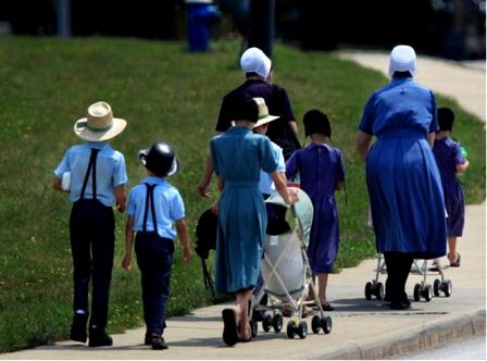 Amish Hoa Ky